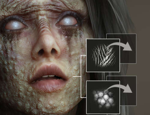 Animation Bundle | iClone 7, Character Creator 3 and Light Studio