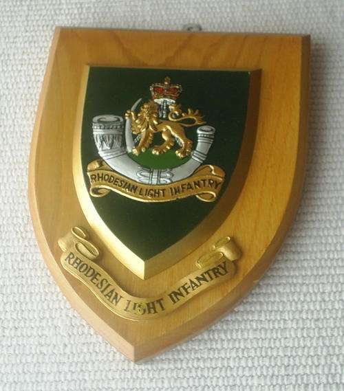 Hand Painted Shield -