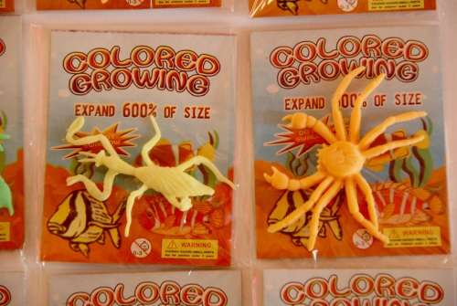 Growing Animals  - Expand to 600% of original size - Set of 6!!