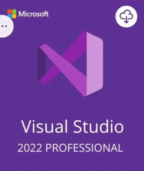 Visual Studio Professional 2022 - Windows