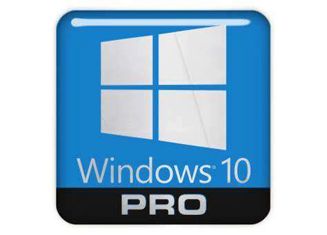 Windows 10 Professional - Lifetime