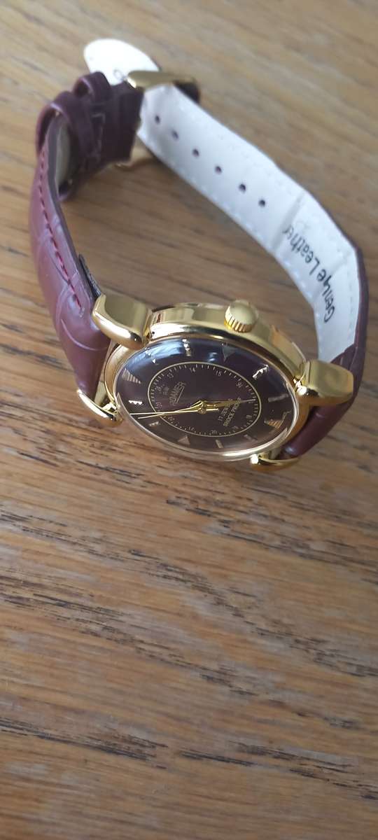 Luxury Vintage Roamer Men`s Mechanical Wrist Watch