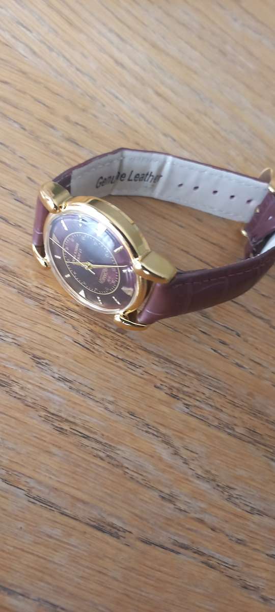 Luxury Vintage Roamer Men`s Mechanical Wrist Watch