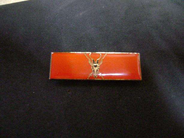 SADF ARMY COMMAND AFFILIATION BAR