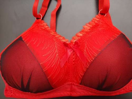 Brand New Padded Bras. Size 34 - 38. B and C cups