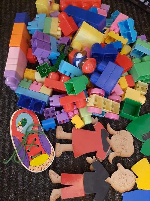 Educational Toys and Building Blocks