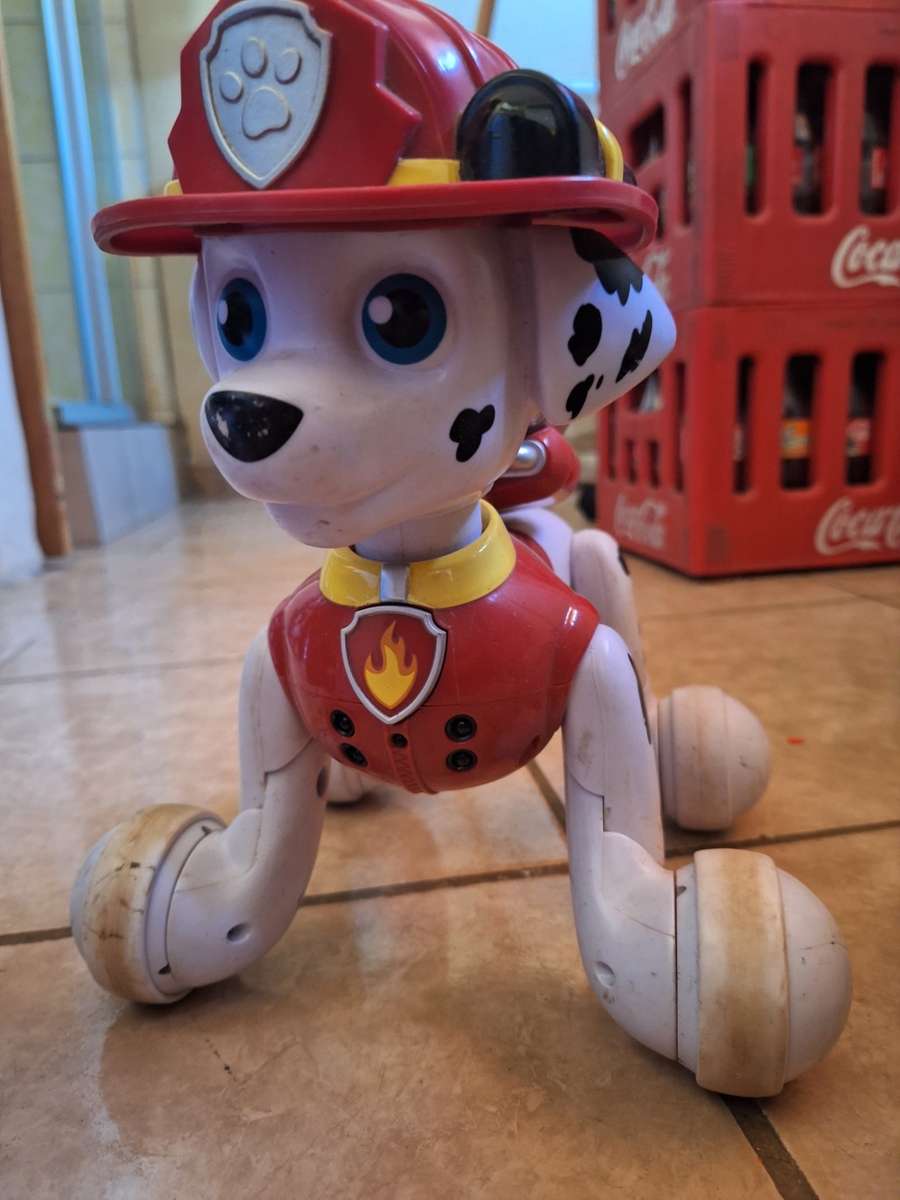 Boy toys- interactive paw patroll pup, robot and other
