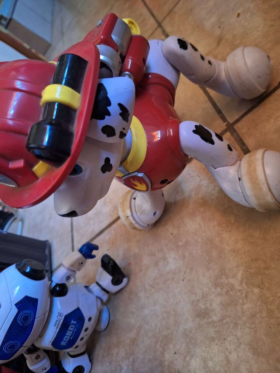 Boy toys- interactive paw patroll pup, robot and other