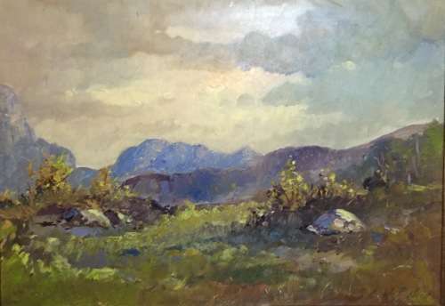 Fabulous Christiaan Nice original oil painting (49,5 x 35 cm) Superb investment Art.