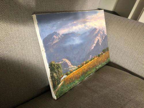 Lovely Casey van der Leek original oil painting on stretched canvas (35 x 25 cm).