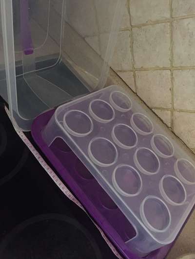 Cupcake Carrier Tupperware original - Never used