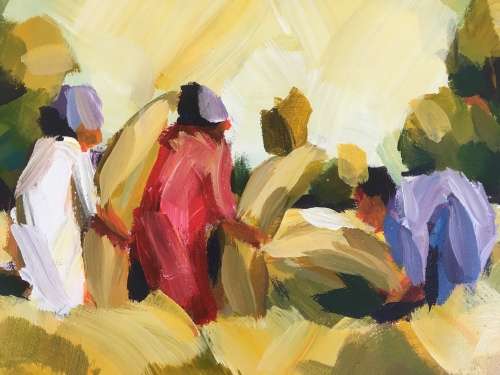 Junior Fungai- Harvesters