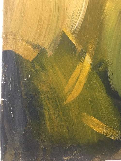 Junior Fungai- Harvesters