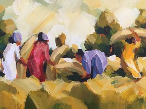 Junior Fungai- Harvesters