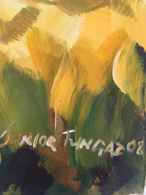 Junior Fungai- Harvesters