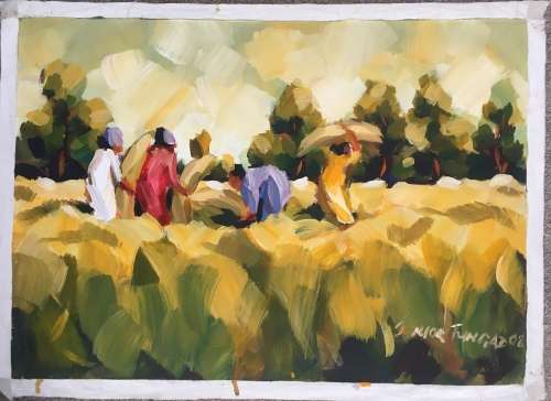 Junior Fungai- Harvesters