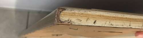 Pieter Lessing - Still Life - oil on board