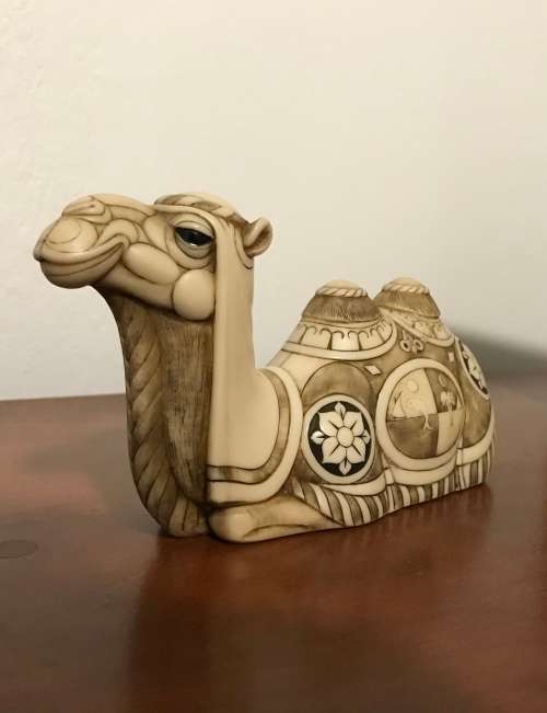 Rare!! John Biccard - `Sufi` the magus`s camel.