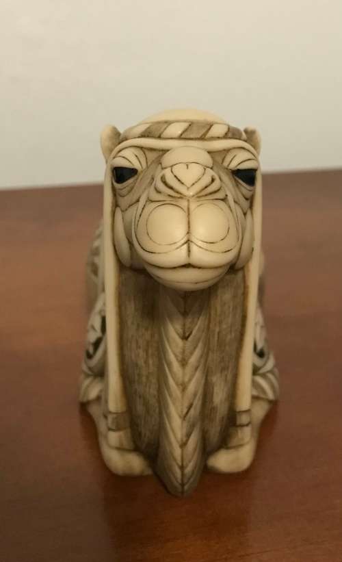 Rare!! John Biccard - `Sufi` the magus`s camel.