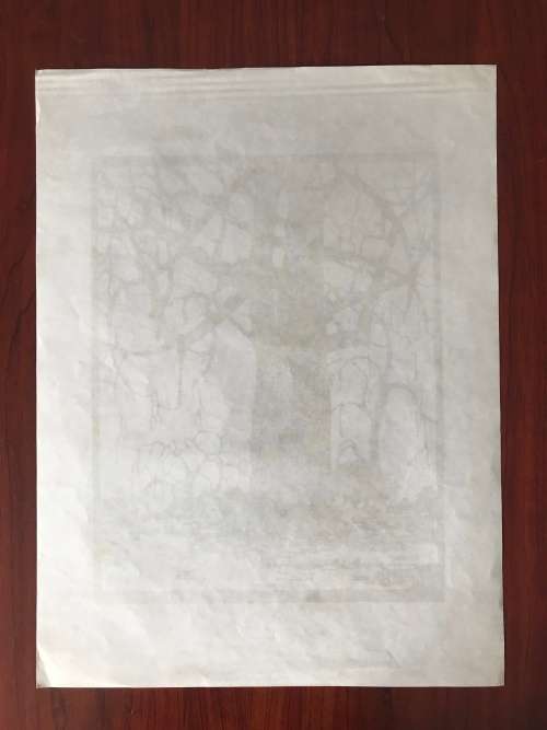 Pierneef - Photolithograph- `Willow in Winter`