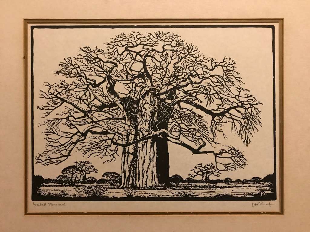 Pierneef Photolithographic Print of a Baobab
