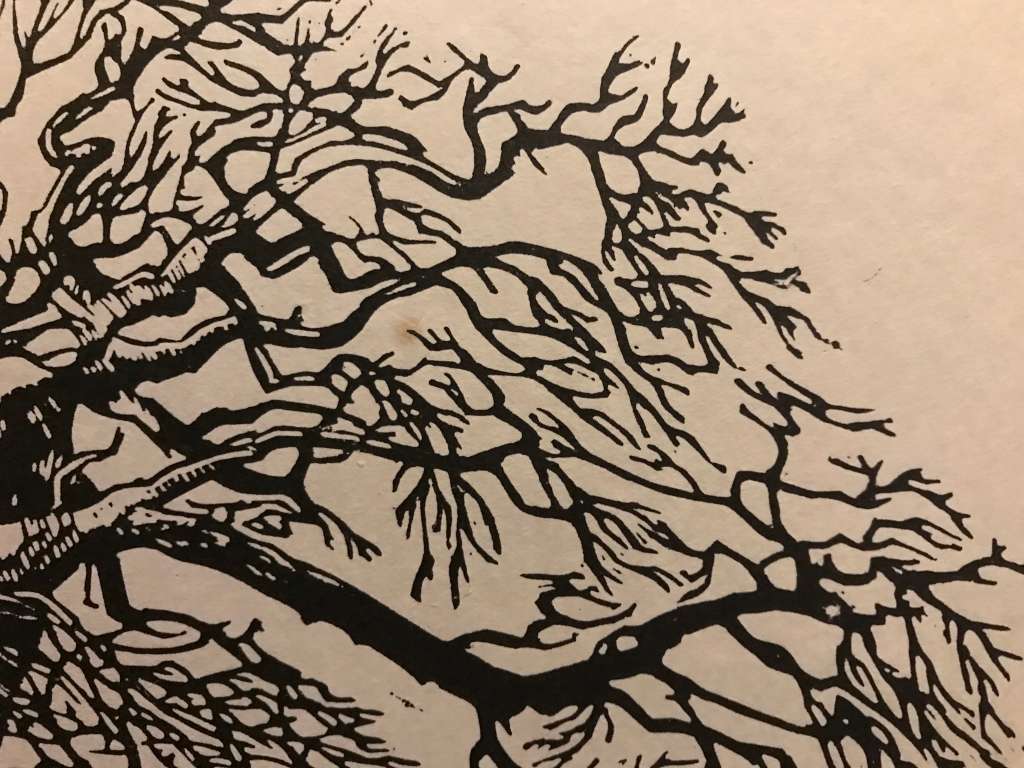 Pierneef Photolithographic Print of a Baobab