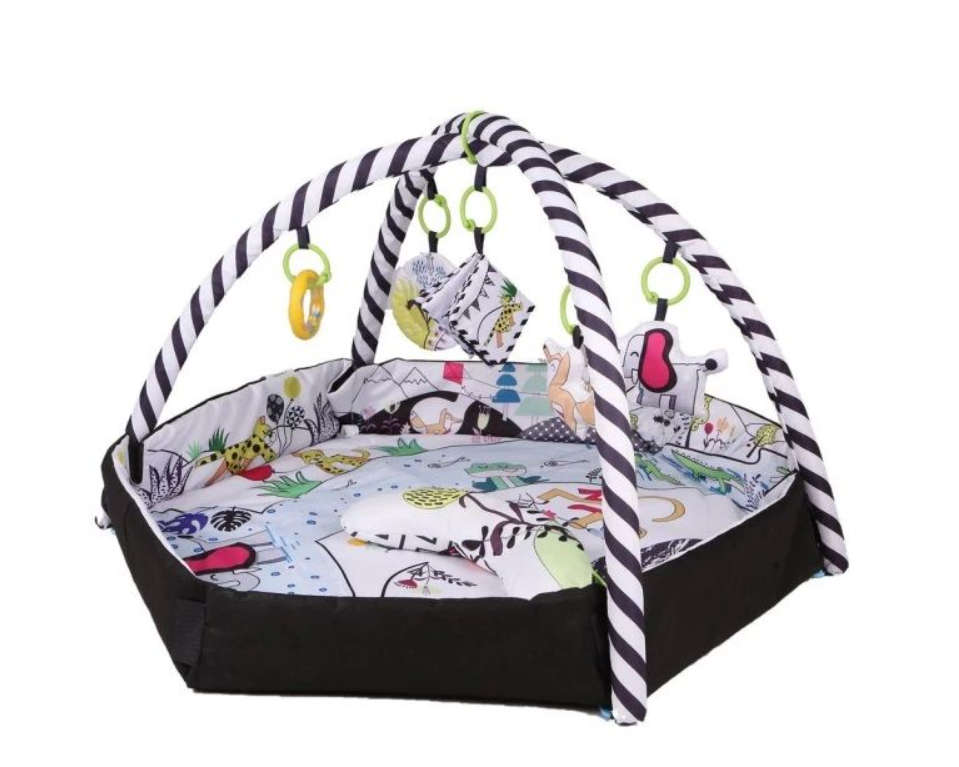 4 in 1 Baby Activity Gym Play Mat And Ball Pit