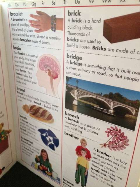 FIRST PICTURE DICTIONARY - ARCHIE OLIVER - EDUCATIONAL BOOKS - CHILDRENS BOOKS - BOOKS