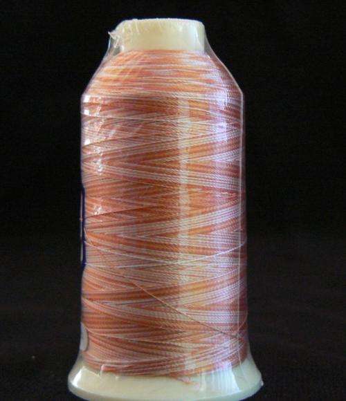 5502 - Orange/Peach Varigated Viscose Rayon 1000m Embroidery thread