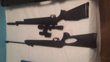 Pellet Guns for sale