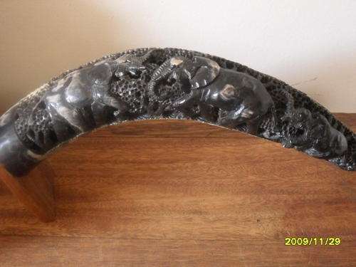 LOVELY BULL'S HORN WITH CARVED ELEPHANT MOTIVE