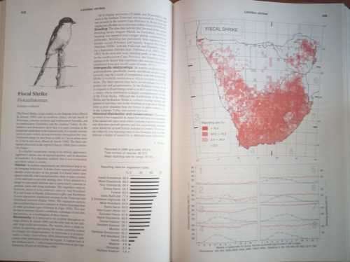 `THE ATLAS OF SOUTHERN AFRICAN BIRDS` - DOUBLE VOLUME, 1997 BY MULTIPLE AUTHORS