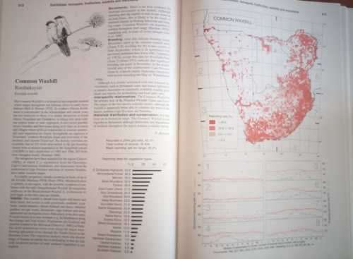 `THE ATLAS OF SOUTHERN AFRICAN BIRDS` - DOUBLE VOLUME, 1997 BY MULTIPLE AUTHORS