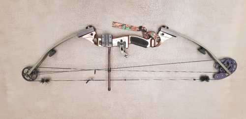 Martin Archery bow
