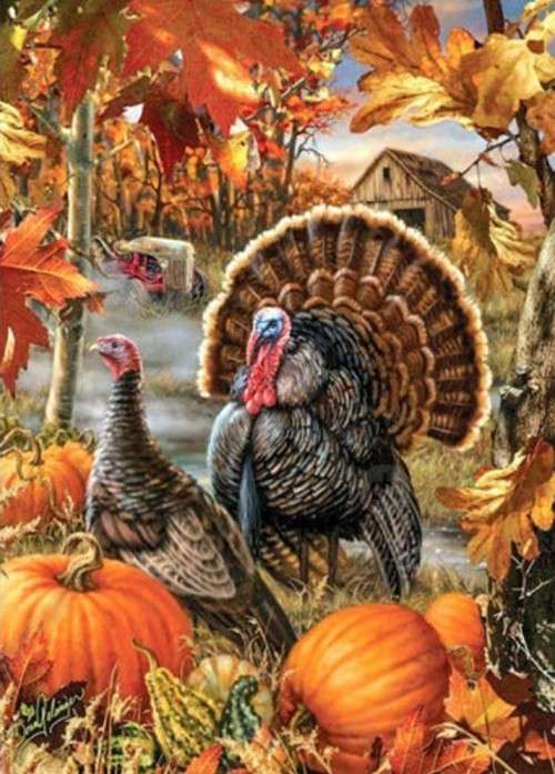 5D DIY FULL DRILL DIAMOND PAINTING BY NUMBER - TURKEYS
