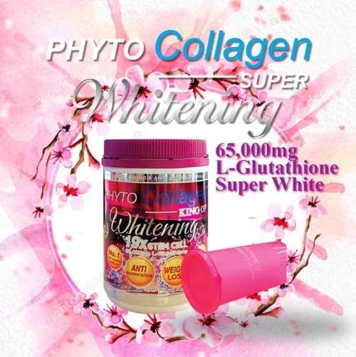 PHYTO COLLAGEN KING OF WHITENING X 19 STEMCELL