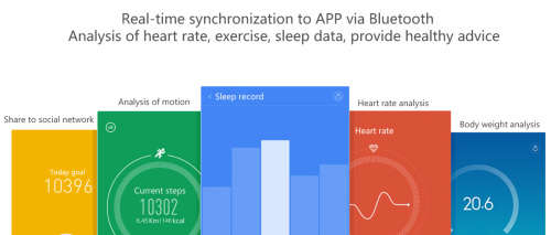Xiaomi Mi Band 1S Smart Band