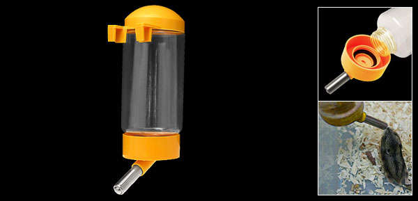 Water Bottle - Yellow