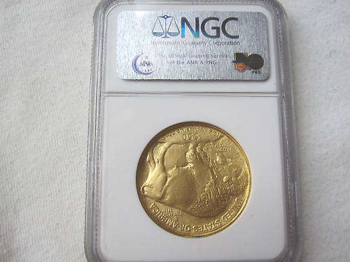 1 Oz Gold American Buffalo Coin (market price: R15,000.00) 2006