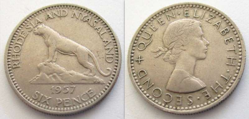 A LOT OF RHODESIAN AND SOUTHERN RHOD COINS INCLUDING A 1954 SOUTHERN RHOD HALF CROWN --ALL FOR 1 bid