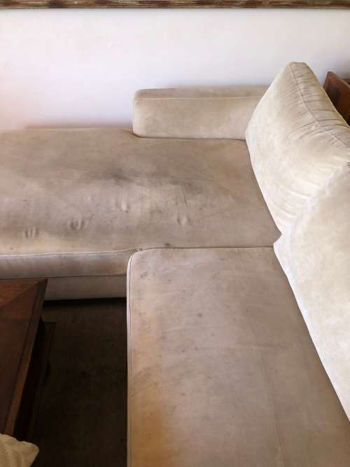 Couch With Daybed