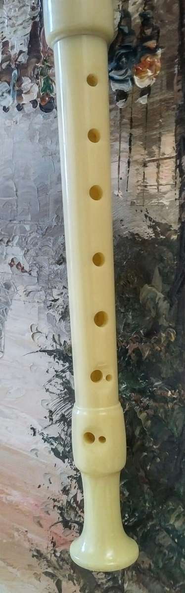 Hohner 9517 Flute With Case Made In Germany