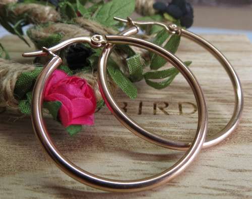 Rosegold Stainless Steel Hoop Earrings