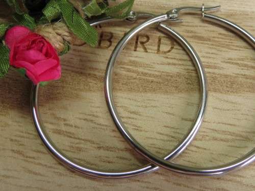 Stainless Steel Oorringe (Earrings)