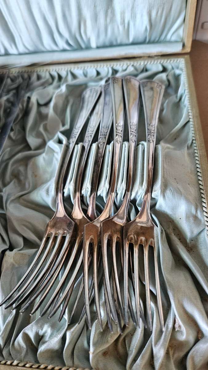 Vintage Agenta 40 silver plated cutlery set in original case