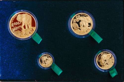 Giants of Africa - The Elephant