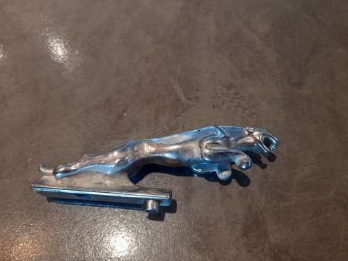 Jaguar bonnet emblem