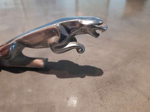 Jaguar bonnet emblem