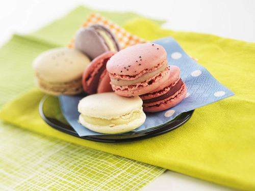 52 cycle Silicone French Macaron making kit and 6 x Nozzles - Plus free recipe booklet