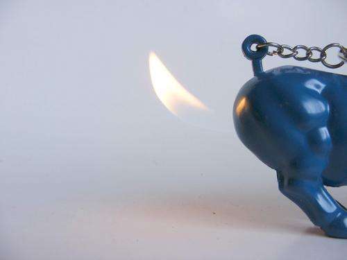 Blue bull Lighter - KEYRING
